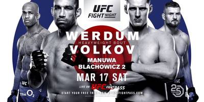 Файткард турнира UFC Fight Night 127: Вердум – Волков