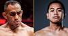 Tony Ferguson vs Nathaniel Bustamante - Date, Start time, Fight Card, Location