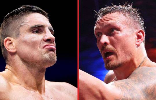 Ф'юрі оцінив шанси Верхувена в бою з Усиком