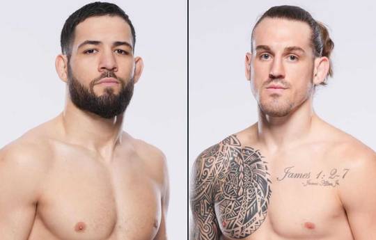 UFC Fight Night 243: Imavov vs Allen - Datum, Startzeit, Fight Card, Ort