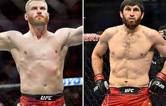 UFC 282: Prochaska fuera a largo plazo. Ankalaev y Blachowicz lucharán por el cinturón