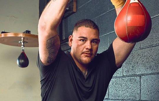 Andy Ruiz holds an open workout (video)
