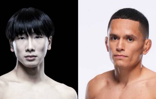 UFC 303: Tsuruya vs Hernandez - Date, Start time, Fight Card, Location