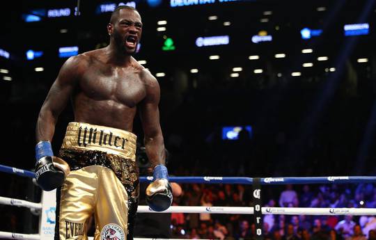 Wilder: Joshua does not behave like a champion