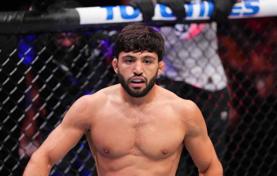 Царукян має намір страхувати бій Пімблетта з Гетжі