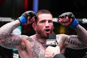 Бреді дав прогноз на бій Махачева з Гаррі