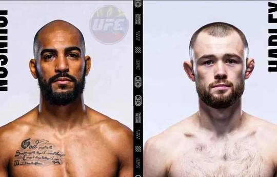 UFC Fight Night: Lewis vs. Nascimento - Probabilidades de apostas, Previsão: Hadley vs Johnson