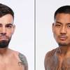 UFC 316 - Betting Odds, Prediction: Silva vs Van