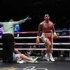 Lerena ging snel om met Radchenko, verdedigde de WBC-titel