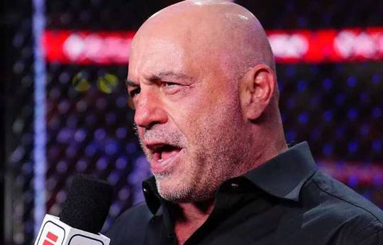 Роган зізнався, що успішно робив ставки на бої