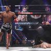 Фотоотчет с шоу Bellator 170 20