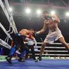 Results and photos of the undercard bouts in Brovary 58