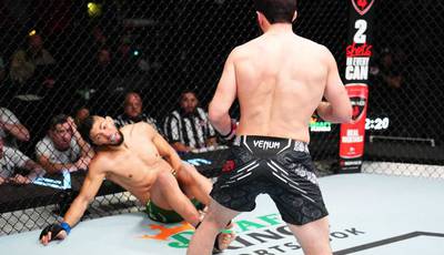 UFC Fight Night 234: Ankalaev knocks out Walker and other results