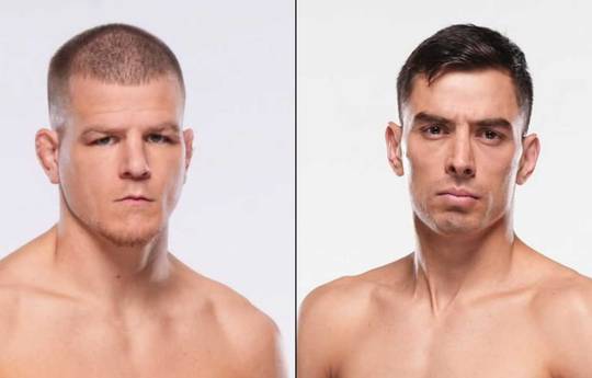 UFC 323 - Wettquoten, Vorhersage: Dawson vs. Torres