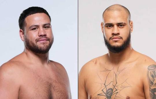 UFC 325 - Wettquoten, Vorhersage: Tuivasa vs Teixeira