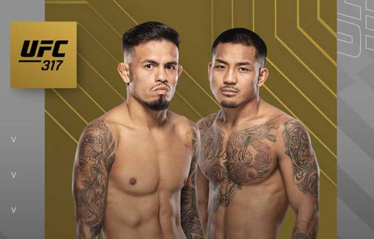 UFC 317: Royval vs Van - Datum, Startzeit, Kampfkarte, Ort