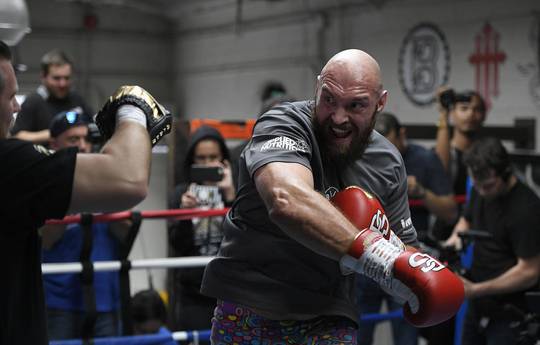 Fury is ready to finish career at the end of the year
