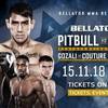 Результаты турнира Bellator 209