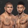 UFC Fight Night 256: the entire tournament card