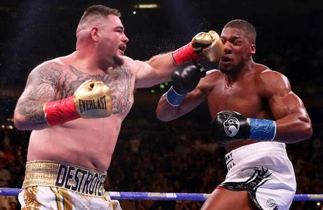 Joshua Vs Ruiz Purses