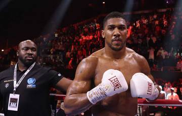 Joshua comments on victory over Wallin