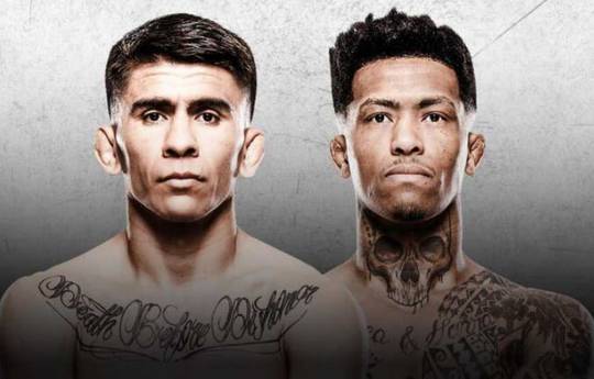 UFC Fight Night 266: смотреть онлайн, ссылки на трансляцию