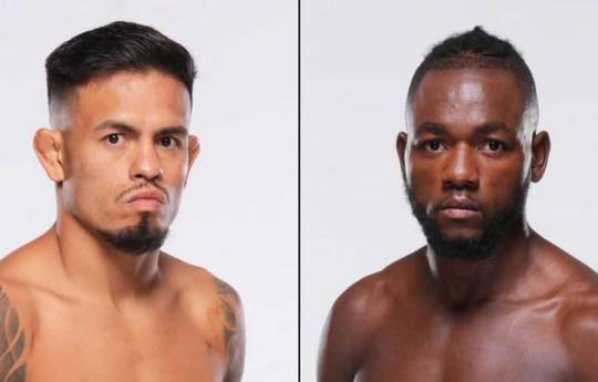 UFC auf ESPN 73 - Wettquoten, Vorhersage: Royval vs Kape