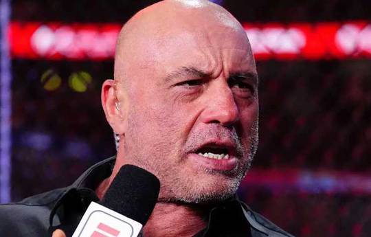 Rogan nannte das Haupttalent der UFC