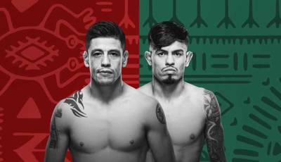 UFC Fight Night 237. Moreno vs. Royval: Turnier-Kampfkarte