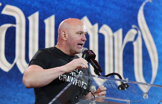 Zuffa назвала 8 весовых категорий, в которых будет определять чемпионов