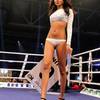 Ring Card Girls 213