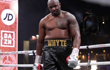 Whyte won't lose his rights to fight Fury due to injury