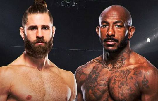 UFC 320 - Wettquoten, Vorhersage: Prochazka gegen Rountree