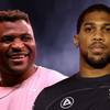 Ngannou suffered memory and vision loss after the first round of his fight with Joshua