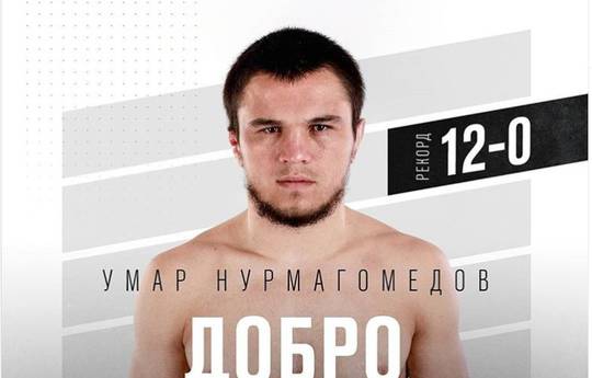 Официально: Нурмагомедов дебютирует в UFC на 249-м турнире