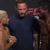 What time is UFC Fight Night 261 Tonight? Figueiredo vs Jackson - Start times, Schedules, Fight Card