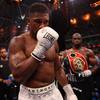 White: "I'm sure Joshua will decide to fight again."