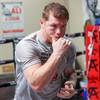 Saul Alvarez held an open training session 41