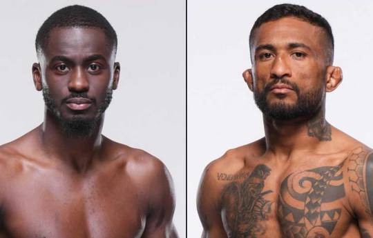 UFC Fight Night 243: Gomis vs Brito - Datum, Startzeit, Fight Card, Ort