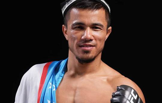 UFC Fight Night 253: Johnson vs Temirov - Datum, aanvangstijd, vechtkaart, locatie