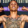 Prograis and Zorrilla hit weight 9