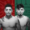 UFC Fight Night 237. Moreno vs. Royval : carte des combats du tournoi