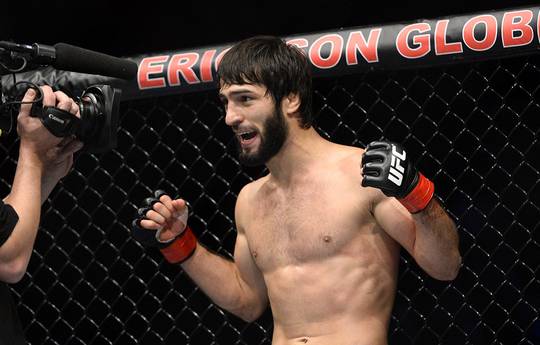 Zubaira Tukhugov and Abubakar Nurmagomedov suspended due to a fight at UFC 229