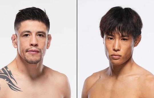 UFC 323 - Wettquoten, Prognose: Moreno vs Taira