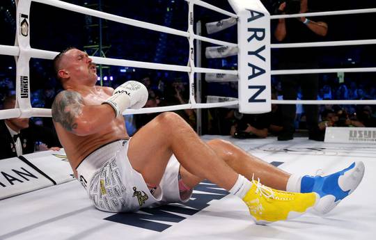 Roy Jones answered if Usyk could immediately get up after hitting Dubois