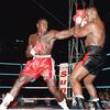 Frank Bruno 2