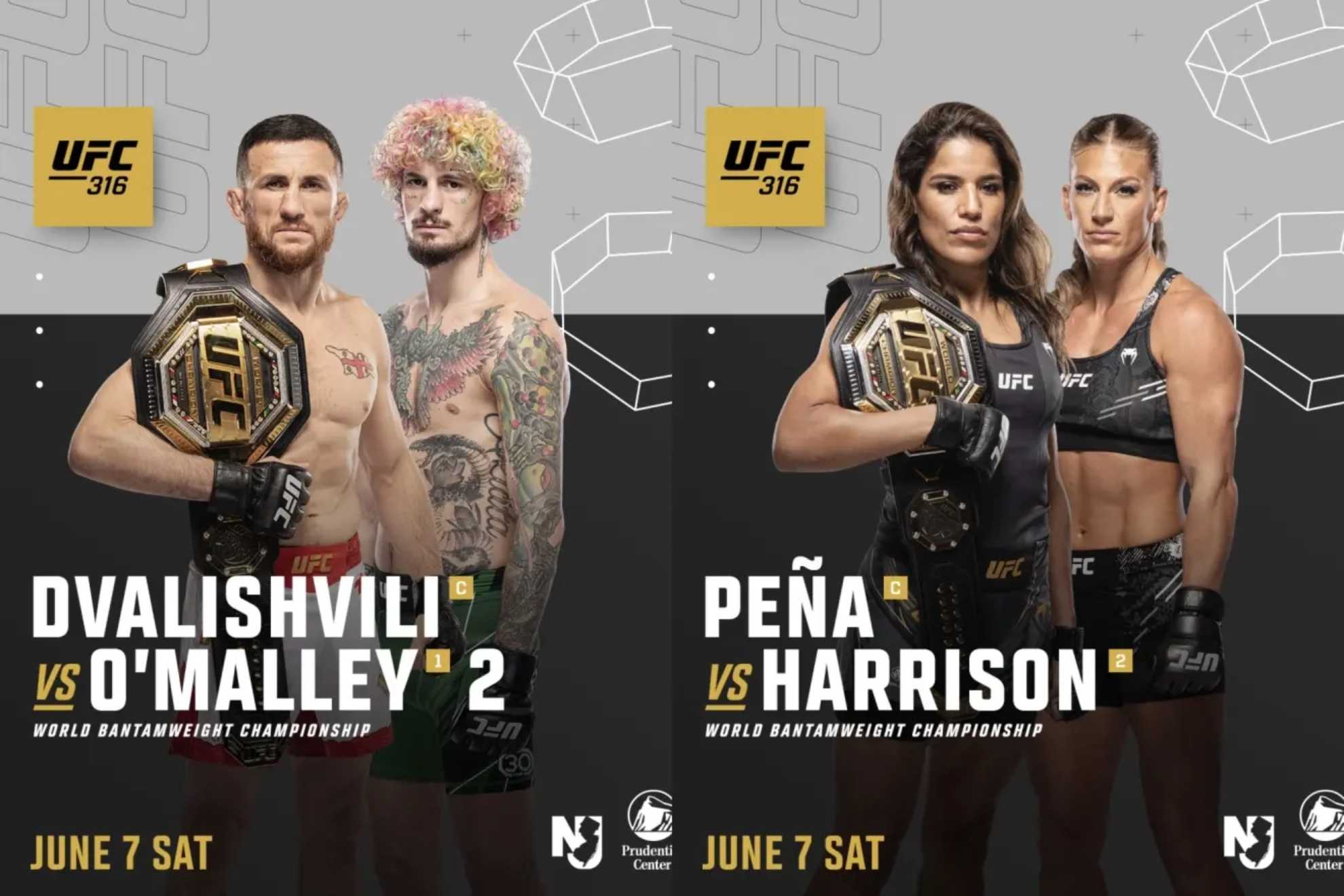 UFC 316: кард турніру