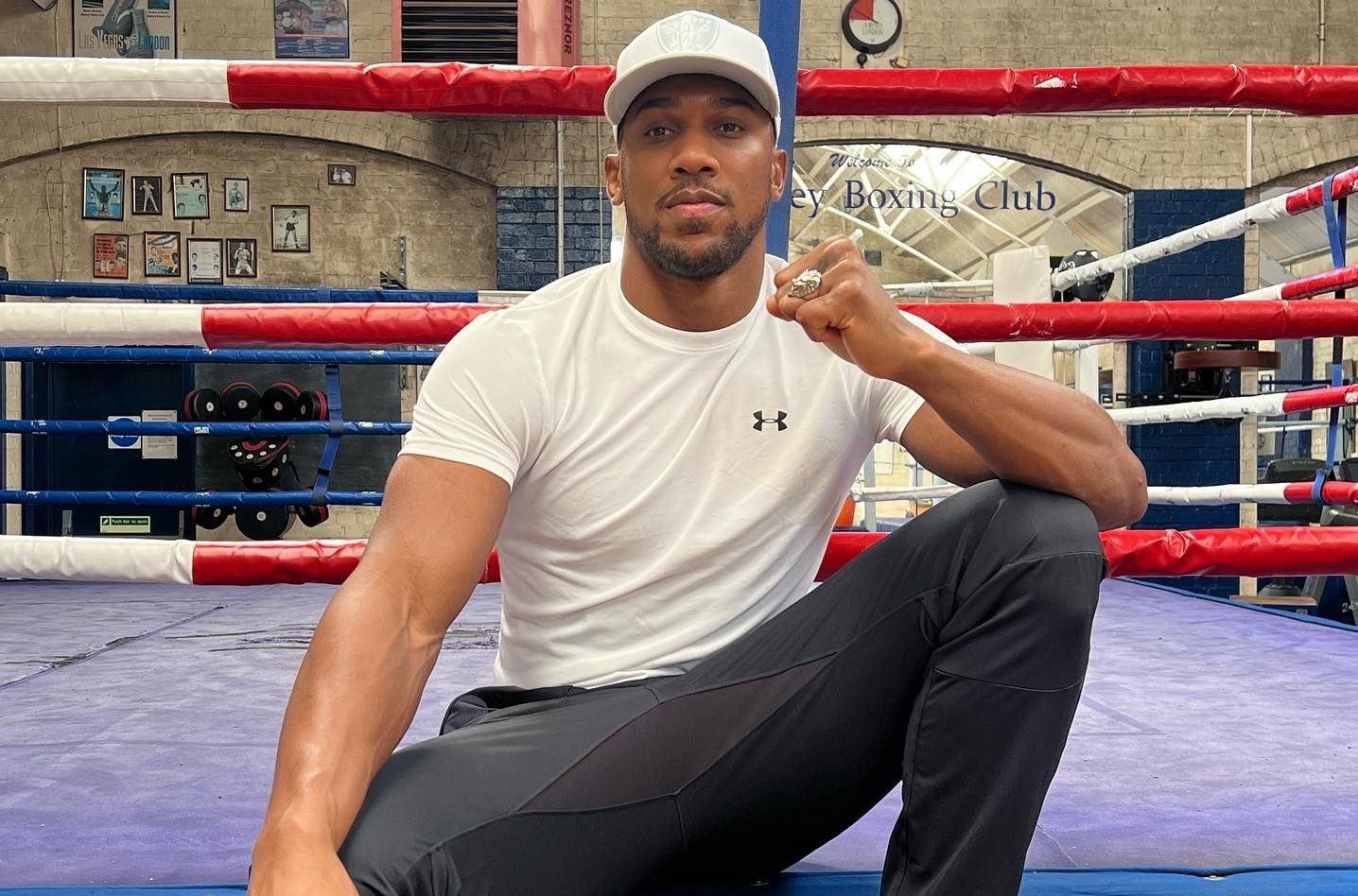 Большие боксеры Anthony Joshua