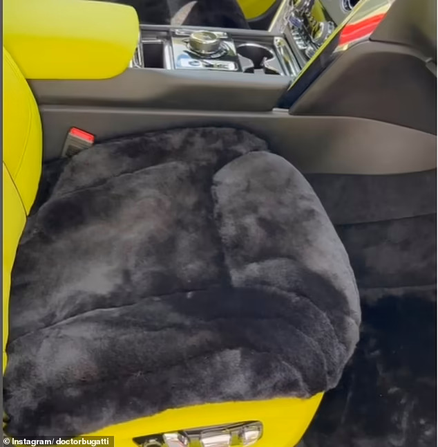 El nuevo asiento de automóvil de visón de $ 18,000 de Floyd Mayweather