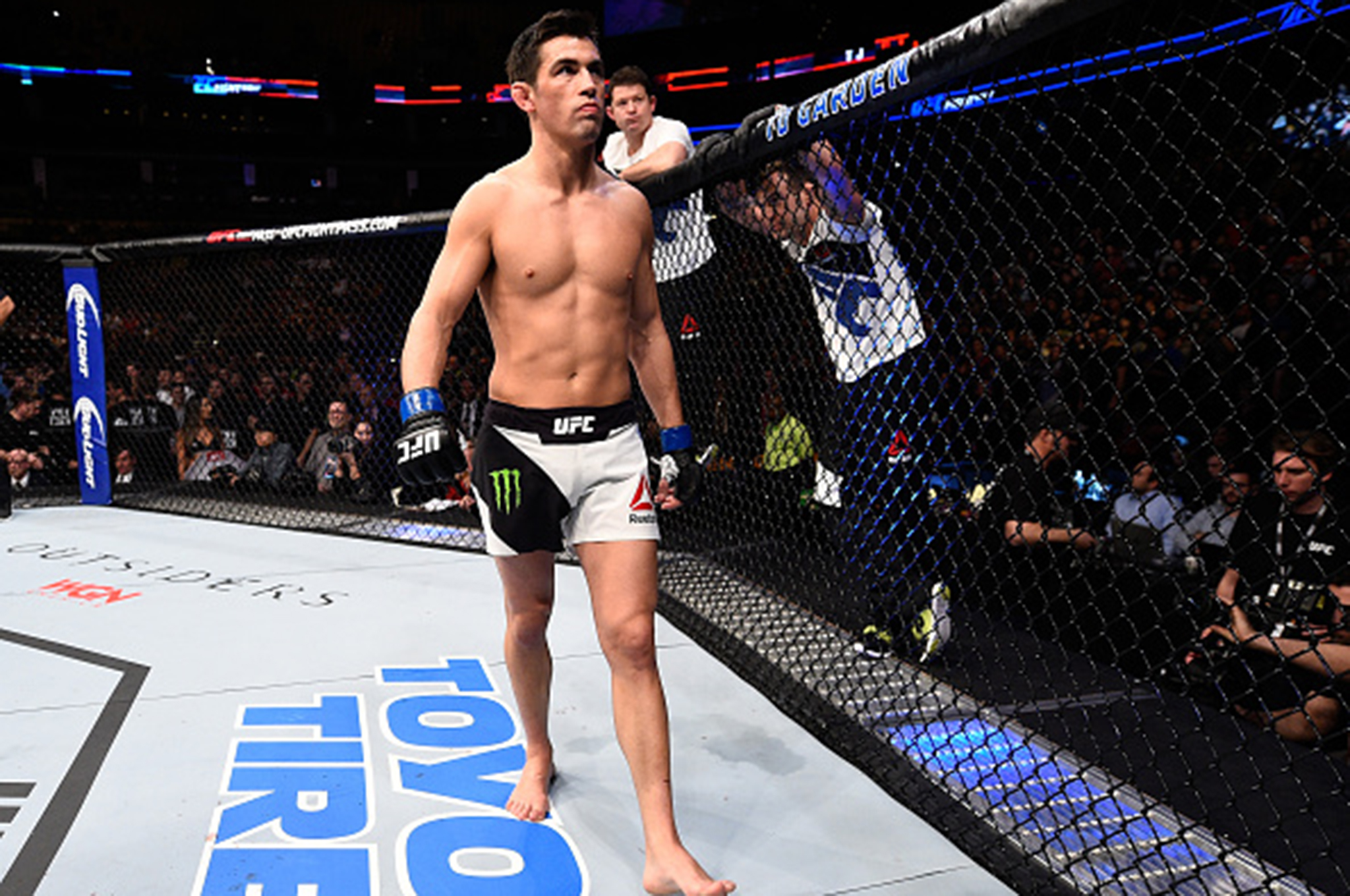 ufc dominick cruz